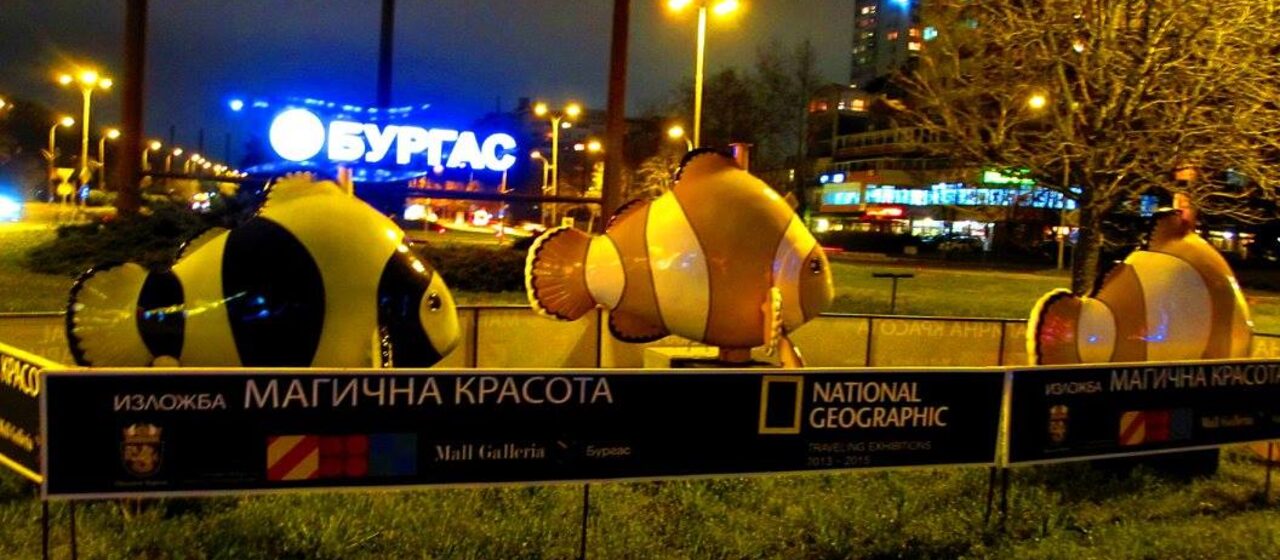 Transfer dall’Aeroporto di Burgas ad Albena